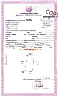T00310